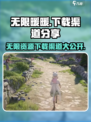 无限暖暖手游下载渠道大揭秘！🎮🔥