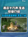 燕云十六声生活职业有哪些介绍