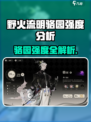 🔥野火流明骆园强度爆表？💥