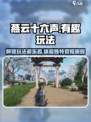 燕云十六声有趣玩法有哪些介绍