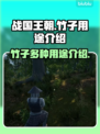 战国王朝:竹子居然有这么多用途！✨🎉