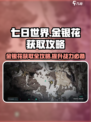 七日世界金银花怎么获得介绍