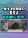 鬼谷八荒药灵在哪抓介绍