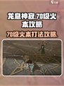 龙息神寂70级火本攻略介绍