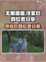 无限暖暖浮絮巨鸥位置在哪介绍