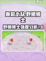 爆裂小队🔥野猪骑士超详细说明来啦！💥