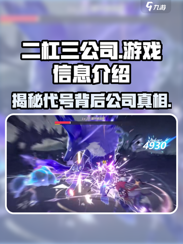 代号二杠三哪个公司介绍截图1