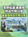 荒野起源渡渡鸟的特点分享介绍