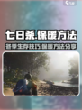 七日世界温暖怎么加介绍