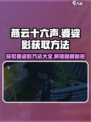 燕云十六声：婆娑影获取方法大曝光！💥游戏党必看🔥