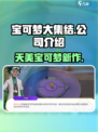 宝可梦大集结哪个公司的介绍
