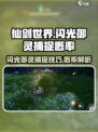 仙剑世界🔥闪光御灵抓取秘籍，概率曝光✨