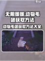 无限暖暖：动物毛团获取大揭秘！🐾