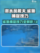 潜水员戴夫鲨鱼派对攻略介绍截图1