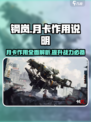钢岚月卡有什么用介绍