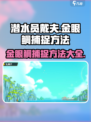潜水员戴夫金眼鲷如何捕捉介绍