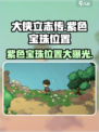 大侠立志传🔥紫色宝珠位置全揭秘！💎快人一步获取秘宝！