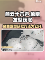 燕云十六声免费发型获取秘籍💥游戏内 Hidden Gem🔥