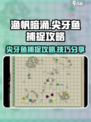 渔帆暗涌尖牙鱼怎么捕捉介绍
