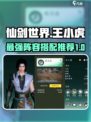 仙剑世界王小虎阵容搭配介绍