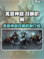 龙息神寂用什么召唤介绍