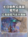 七日世界红龙获取方法介绍介绍