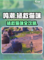 《鸣潮》拯救猫咪任务全攻略✨限时解锁！