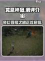 龙息神寂测评介绍介绍
