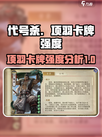 代号杀项羽好用吗介绍截图1