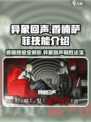 异象回声香楠技能是什么介绍