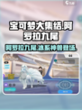 宝可梦大集结冰九尾是谁介绍