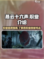 燕云十六声职业技能介绍介绍