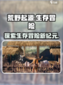 荒野起源🔥：未解之谜等你探索！🎮