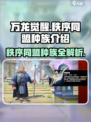 万龙觉醒🔥秩序同盟种族全面解析来了！