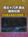 燕云十六声鹿头如何找介绍
