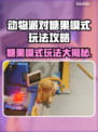 动物派对糖果模式玩法大揭秘！🎉糖王必看