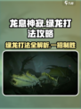 龙息神寂绿龙怎么打介绍