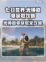七日世界光铸勋章怎么获得介绍