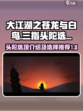 大江湖之苍龙与白鸟三指头陀选项介绍介绍