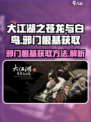 大江湖之苍龙与白鸟邪门根基怎么获取介绍