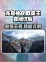 龙息神寂叹息王怎么样介绍