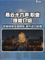 燕云十六声职业技能有哪些介绍