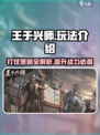 王于兴师🔥超全玩法介绍，新手必看！