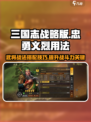 三国志战略版忠勇义烈怎么用介绍