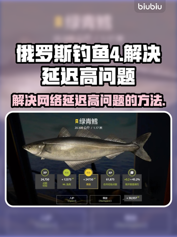 俄罗斯钓鱼4延迟高？❌教你轻松解决🔥截图1