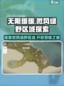 无限暖暖微风绿野区域在哪里介绍