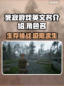 死寂游戏英文名🔥Steam上叫啥就玩啥🎮