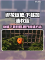 绯花绽放下载慢？极速下载攻略来了！🎮🔥