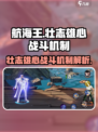 航海王壮志雄心金刚体什么意思介绍