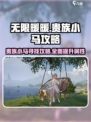 无限暖暖贵族小马在哪找介绍